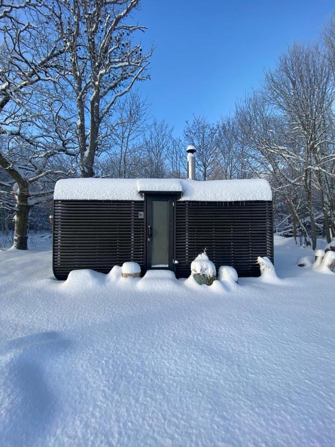 Tiny Cabin In Nature With Finnish Sauna Палдіскі Екстер'єр фото